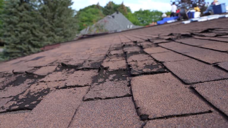 Best Roof Leak Repair  in Salyersville, KY